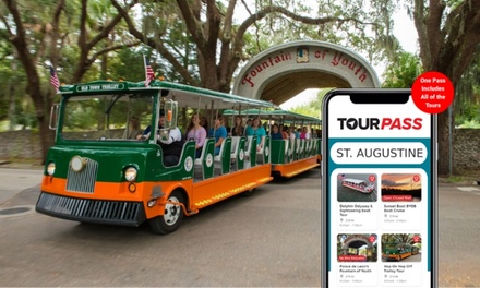 One-Day Tour Pass for One Child - TourPass