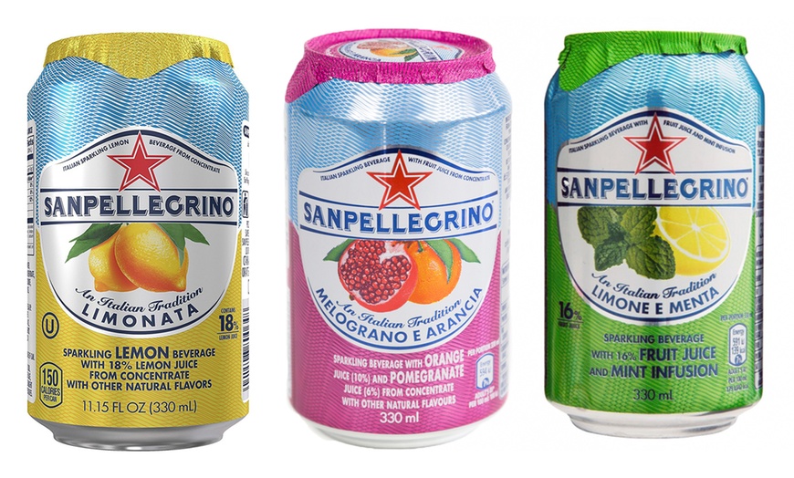 Image 2: 24 Cans of San Pellegrino