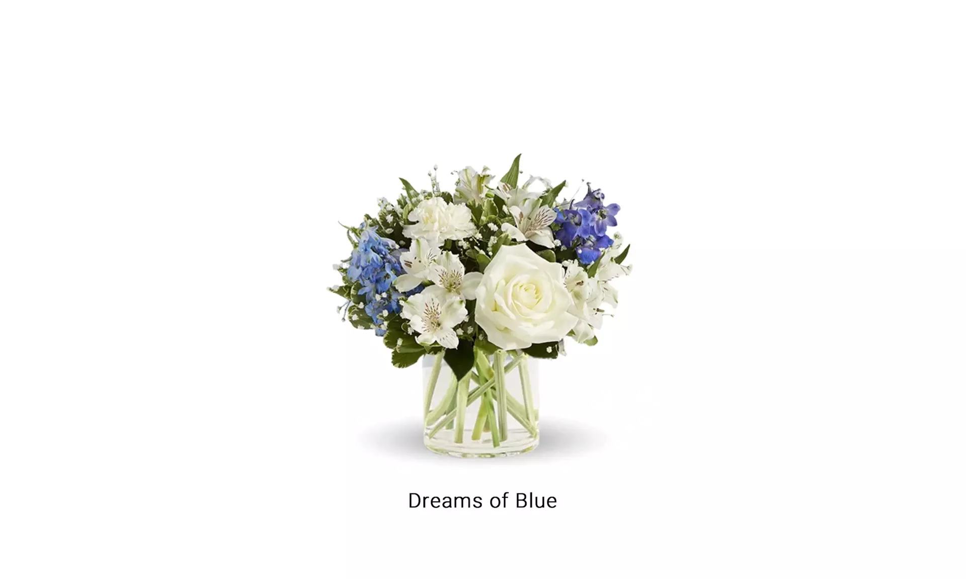 Welcome a Little One with New Baby Bouquets from Blooms Today Up to 17% Off