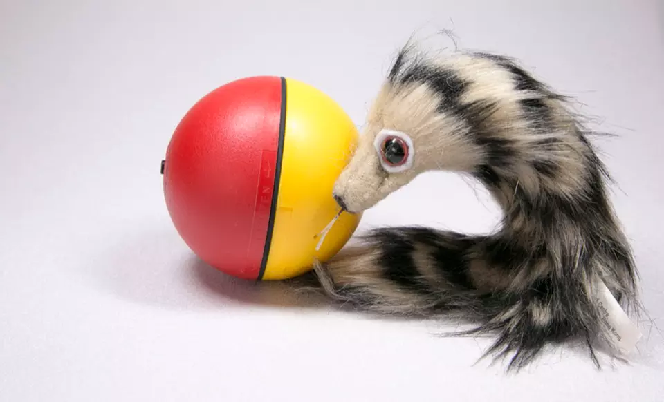 Weazel Ball - Second Medium
