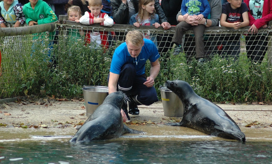 Image 12: Dagje Boudewijn Seapark Brugge