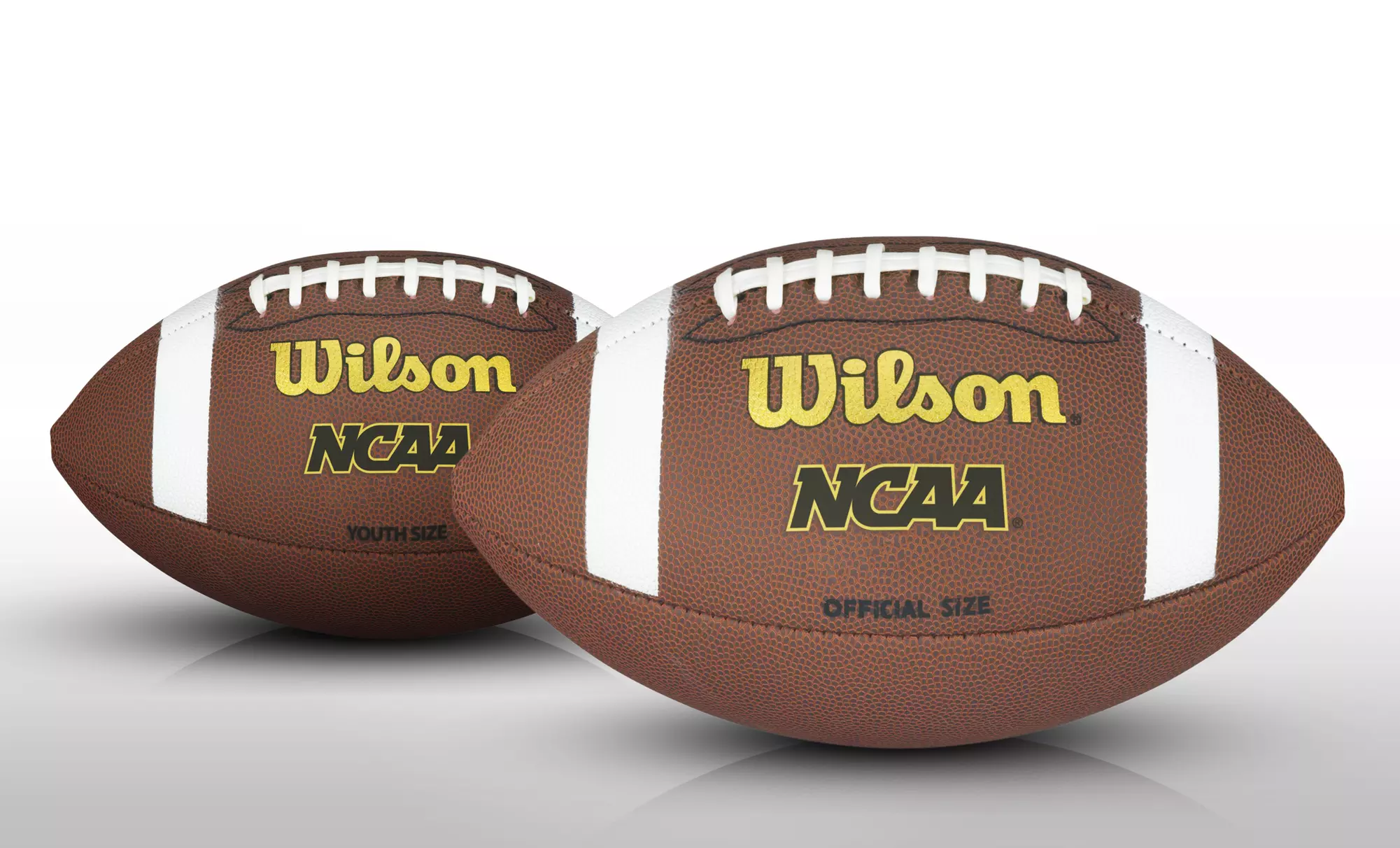 Wilson NCAA Composite Football - Primary Image