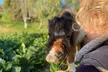90-Minute Horseback Riding Drop-In Class or Week-Long Summer Camp with Riding Lessons (Up to 52% Off) - Second Medium
