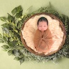 Image 4: Newborn Photography: Get a Standard, Deluxe or Solo Collection