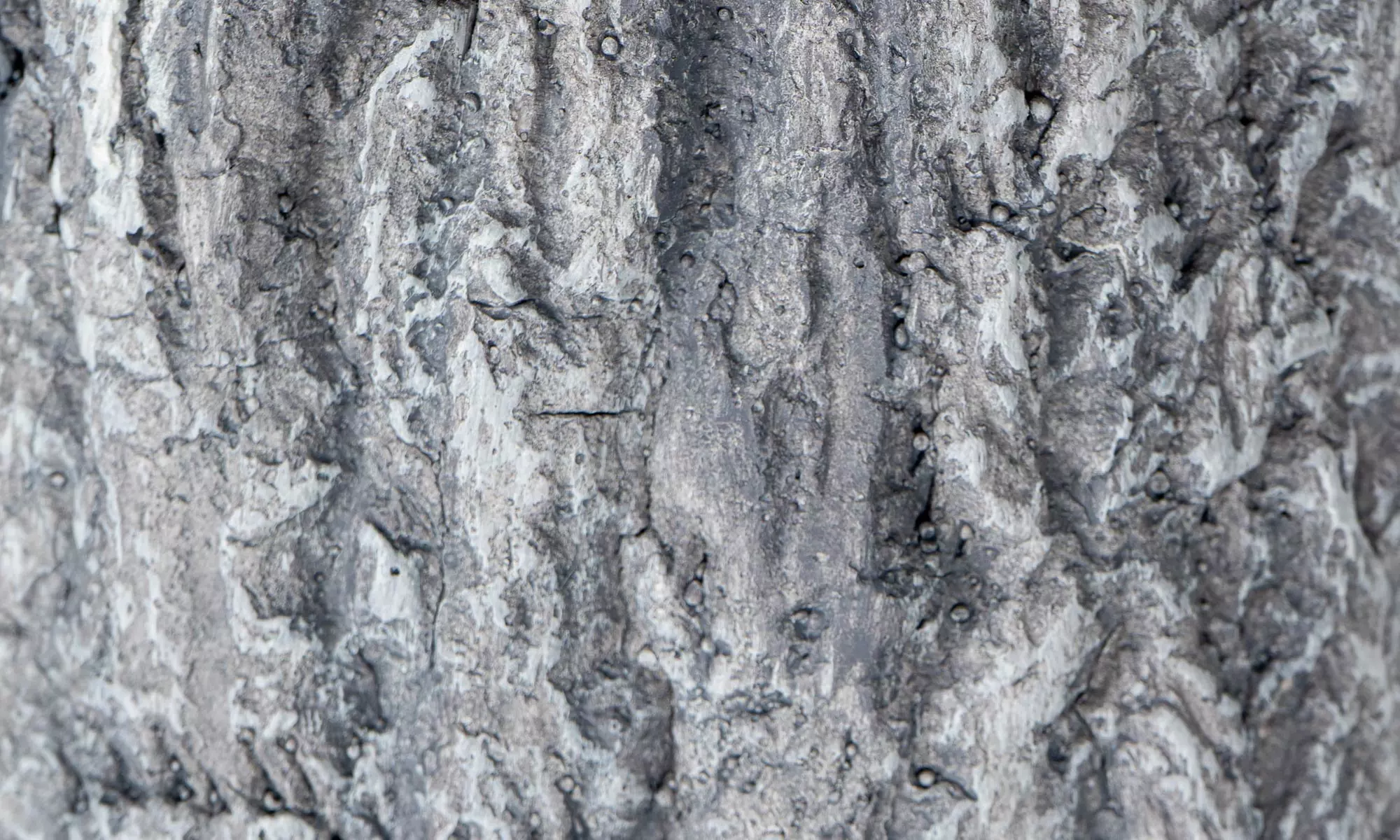 Base tronco decorativa per albero di Natale