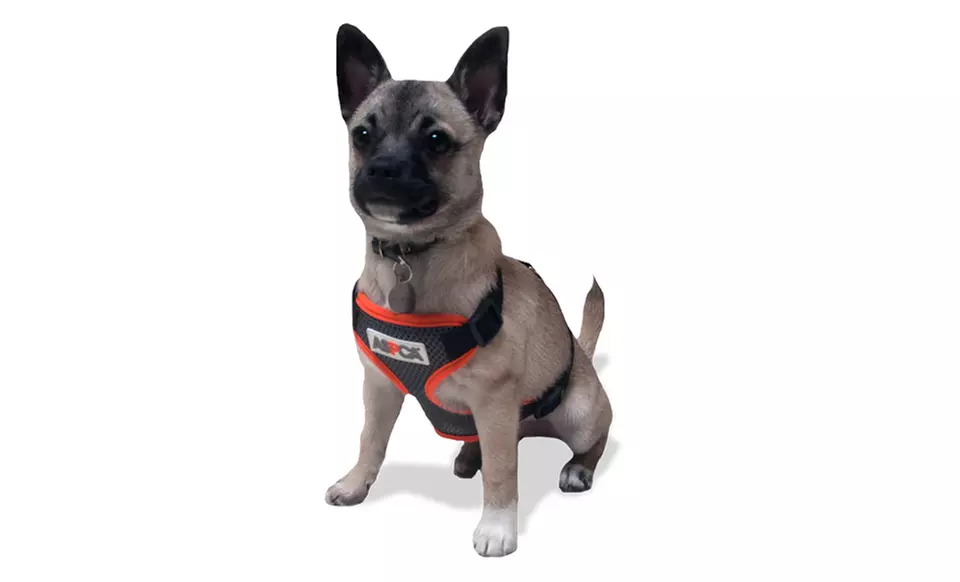 ASPCA Mesh Dog Harness - Primary Image