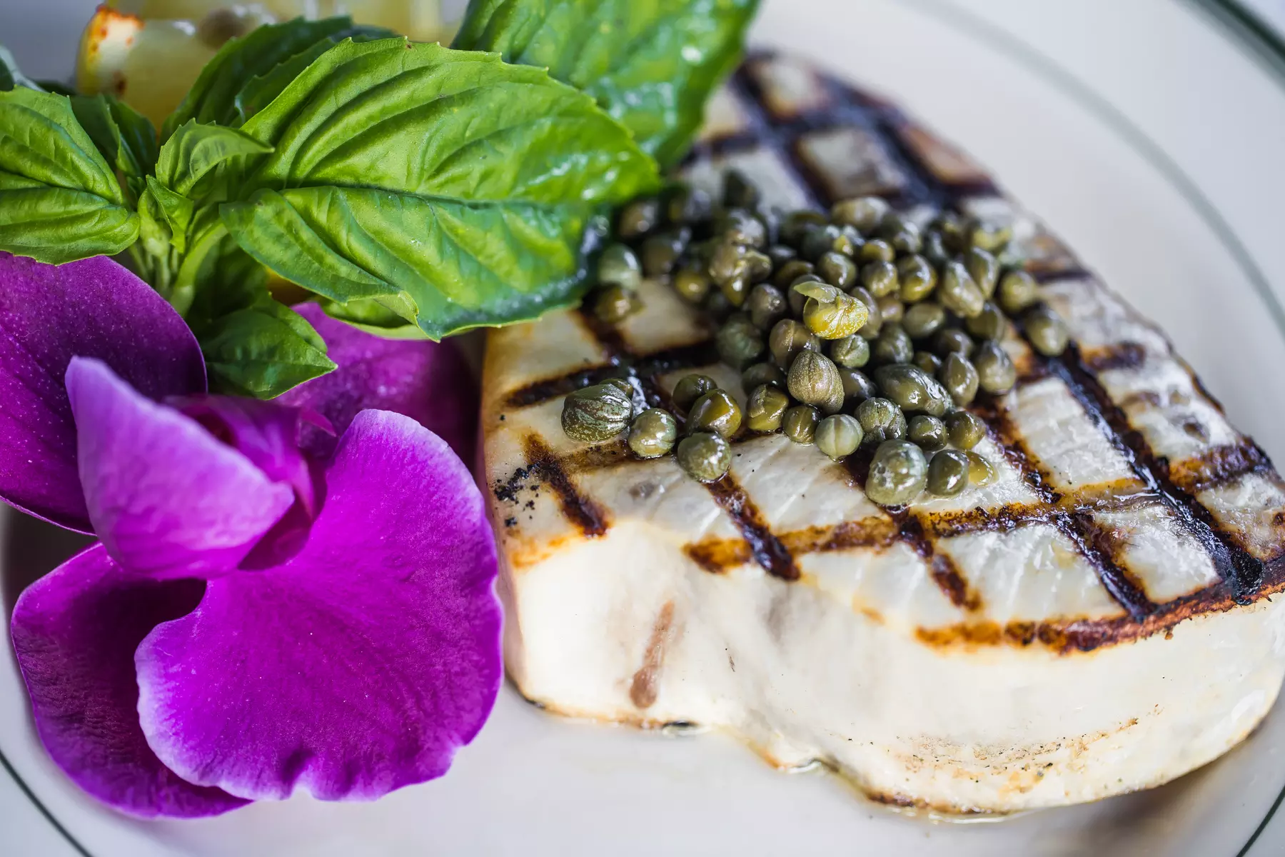 Savor a  $125 Dining Credit at Red Tracton's Steakhouse