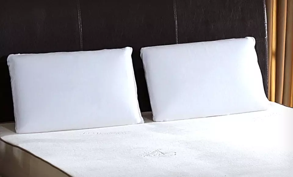 Two Standard or Jumbo Nature’s Sleep ViscoLite Memory-Foam Pillows (Up to 63% Off). Free Shipping and Free Returns. - Primary Image