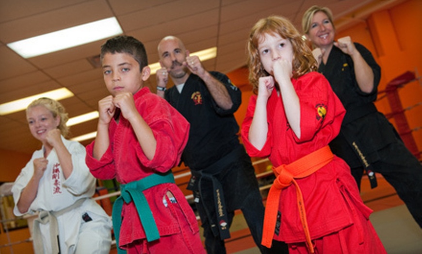 Therien Jiu-Jitsu & Kickboxing in - Ottawa, ON, CA | Groupon