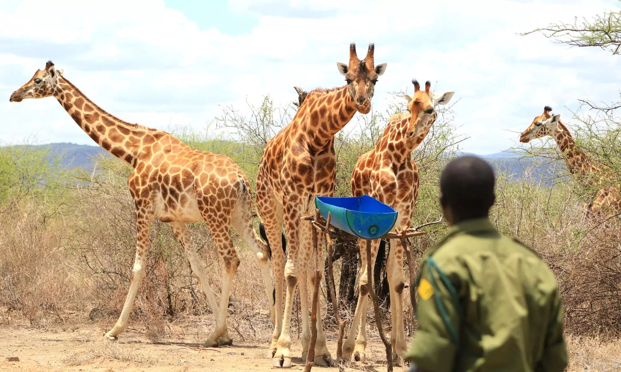 Admission to Wildlife World Zoo, Aquarium, & Safari Park