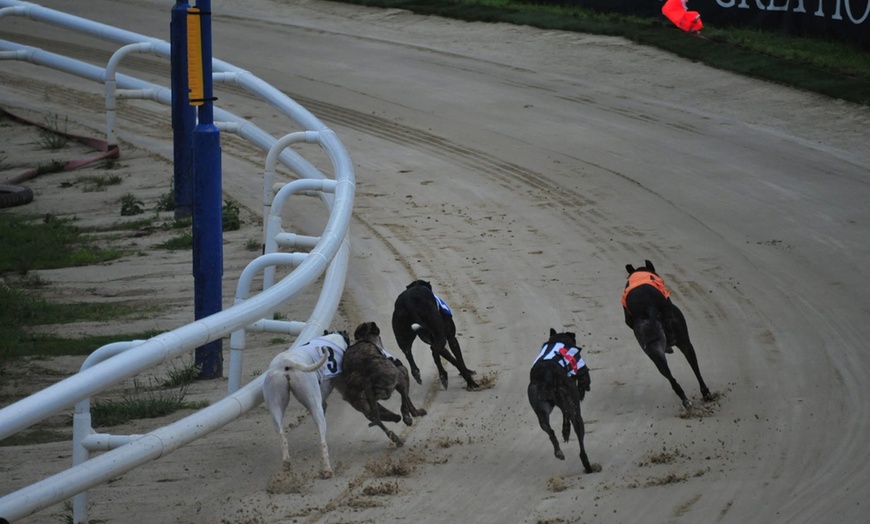 Image 3: Greyhound Racing Entry with Food, Drink & Racecard – For 1, 2, or 4