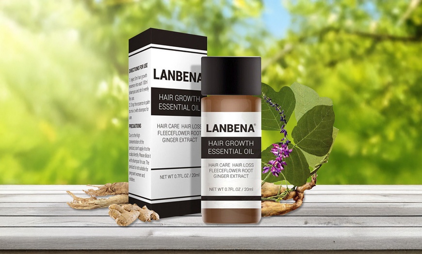 Image 1: Lanbena Hair Growth Essence Hair Loss Treatment Ginger Sunburst Raise 