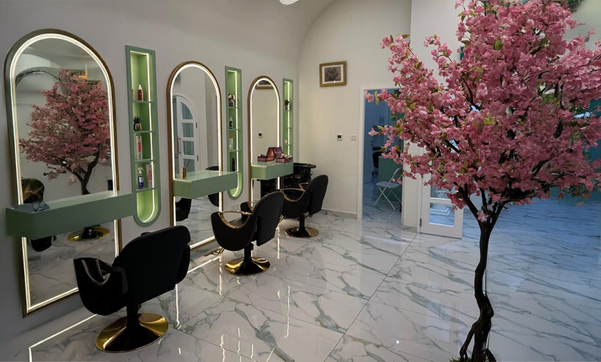 Image 6: Hair Wash and Blow-dry, Roots Color, Full Hair Color, Balayage, & More