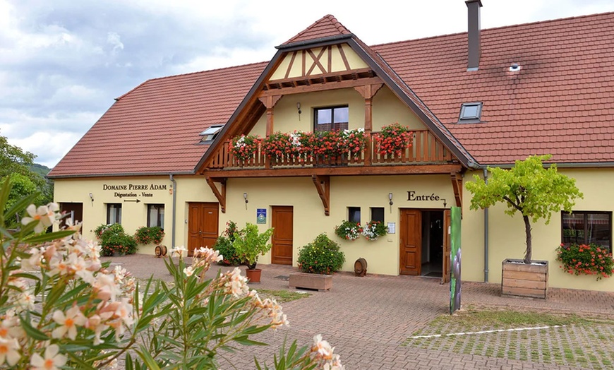 Image 3: Atelier découverte des vins d'Alsace et visite de cave pour 2 ou 4 p.