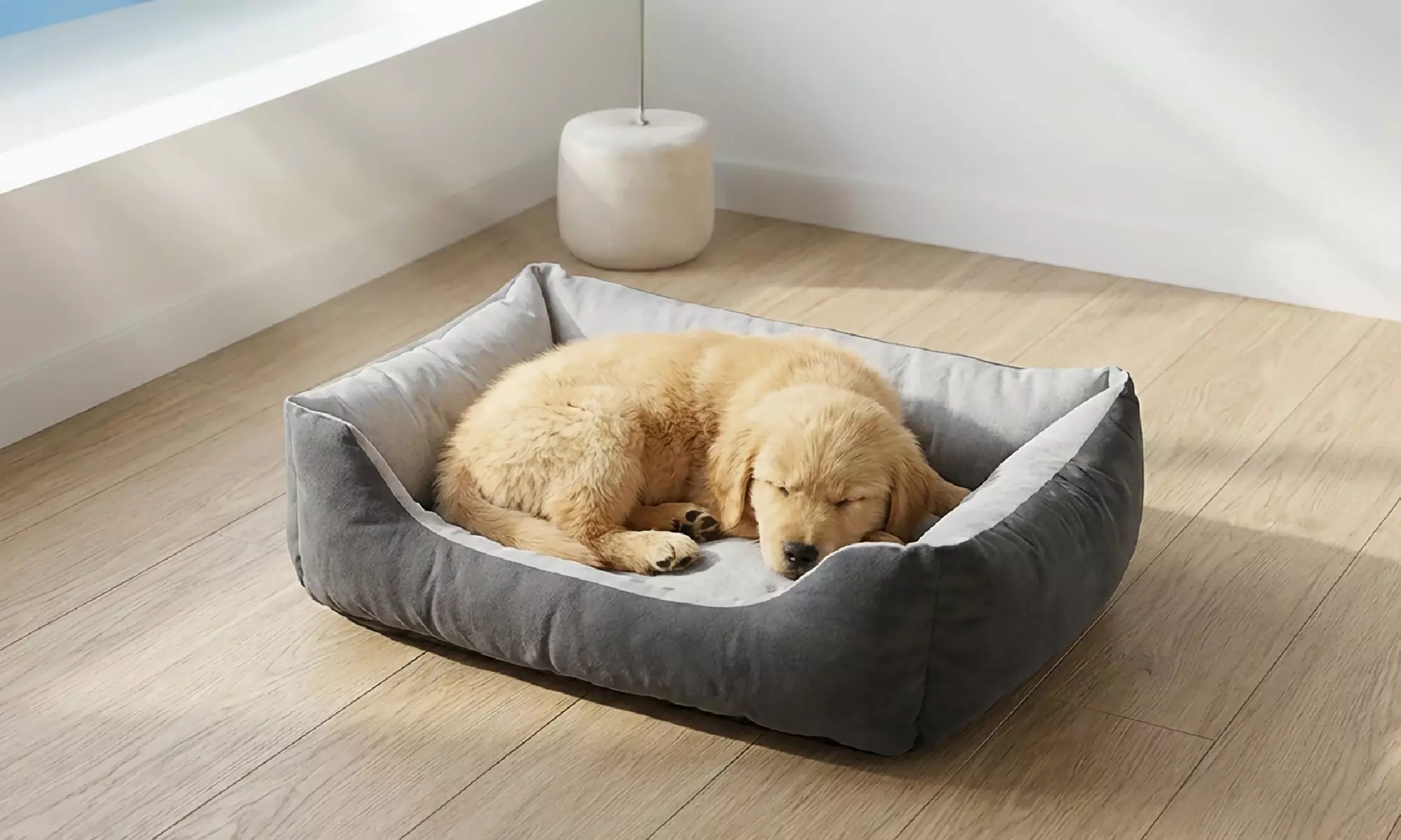 5-teiliges Hundepflege-Set