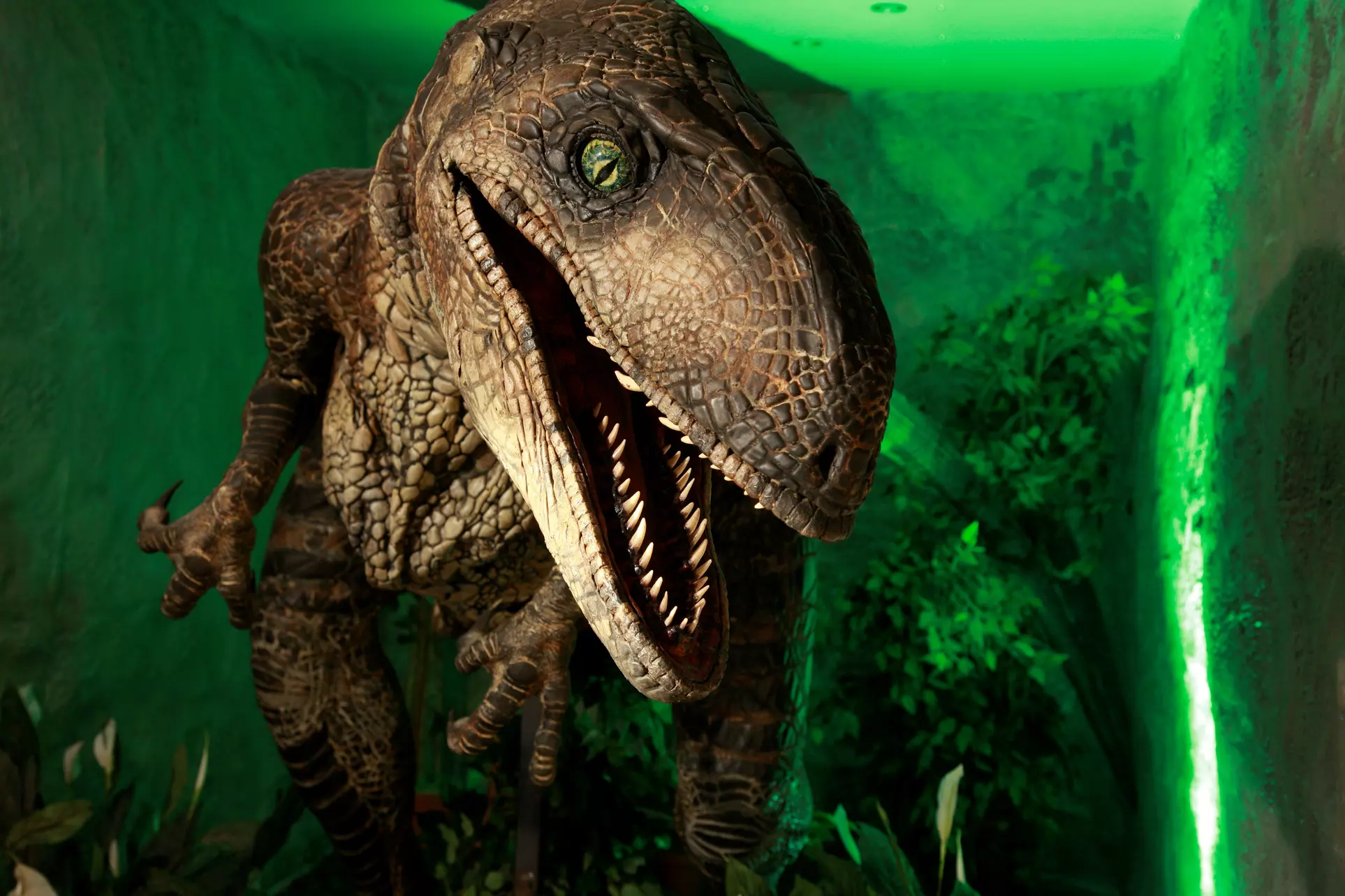 1-2 Tickets für den Erlebnispark Memleben für 1-2 Personen ab 3 Jahren