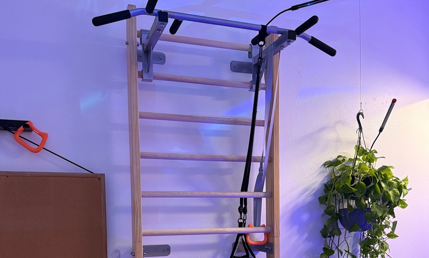 Image 8:  Infrared Dry Sauna + Red light Therapy + Cold Plunge PEMF+24/7 Access