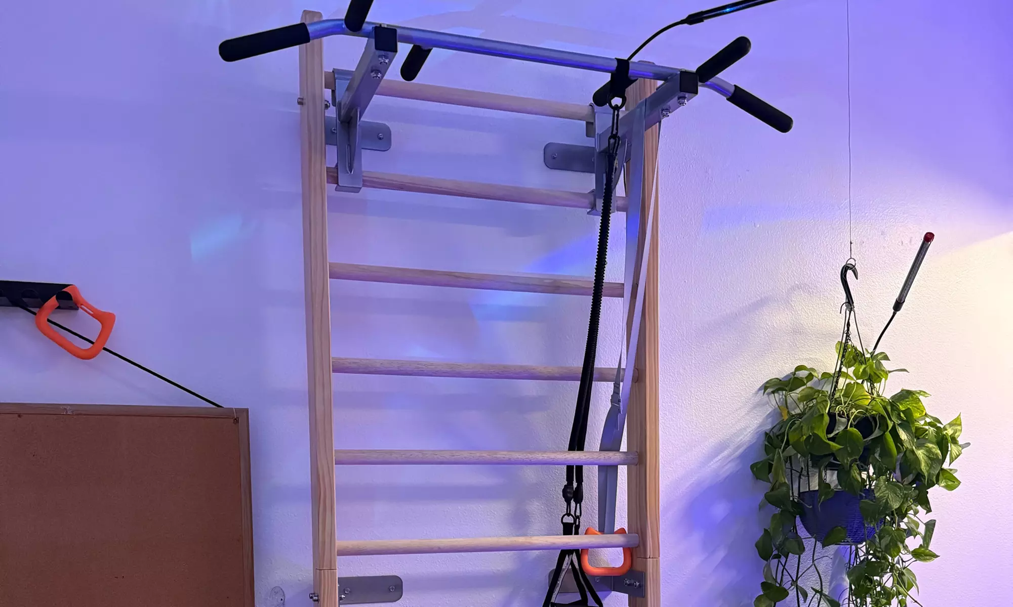 Infrared Dry Sauna + Red light Therapy + Cold Plunge PEMF+24/7 Access