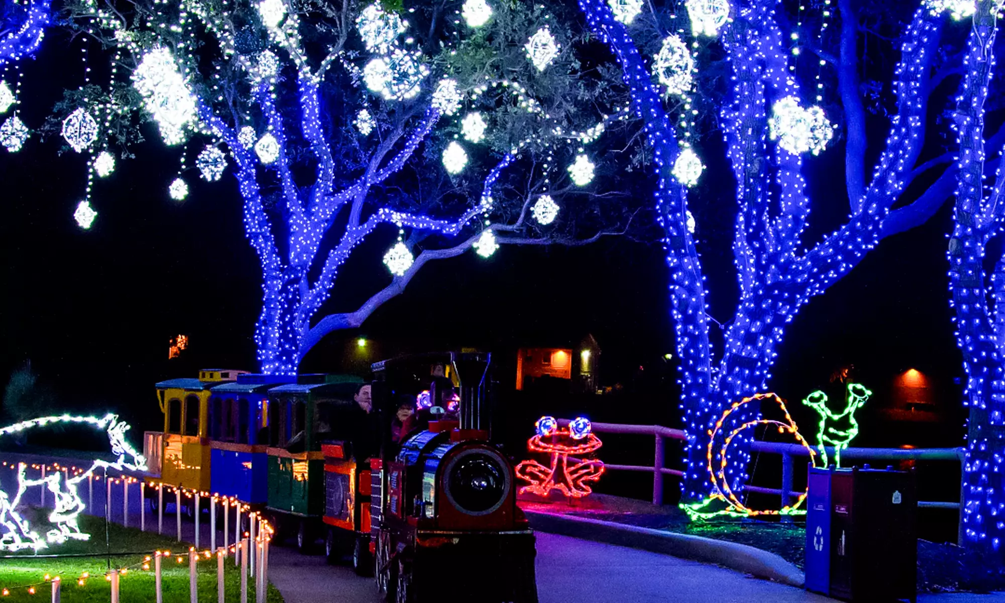 Experience Holiday Magic With Light Trails, Ice Sculptures