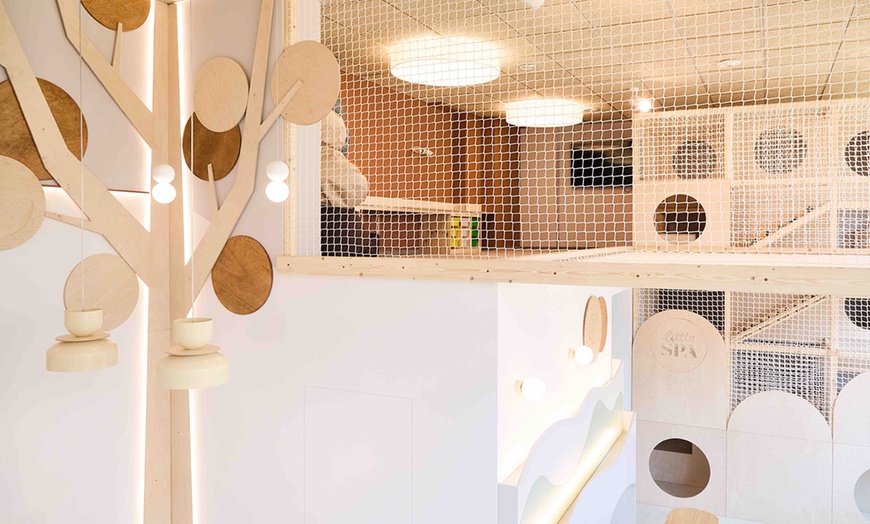 Image 3: Stylizacja hybrydowa paznokci i wejście na salę zabaw dla najmłodszych