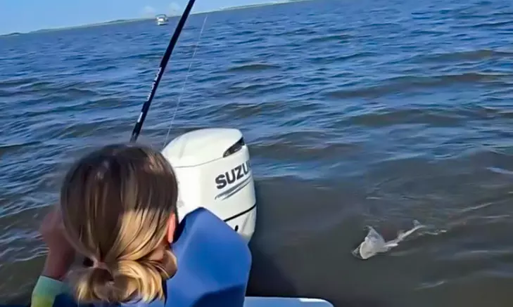 2- or 3-Hr Kid's Fishing Trip/4-Hr Large Shark Trips+ Tarpon (up to 6)