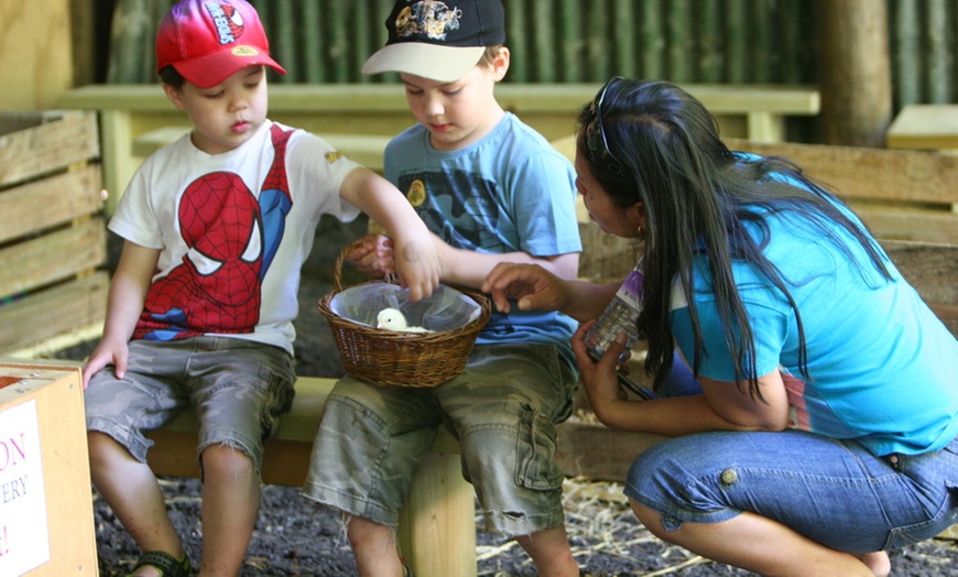 Image 3: Family Entry to Farm With Maze