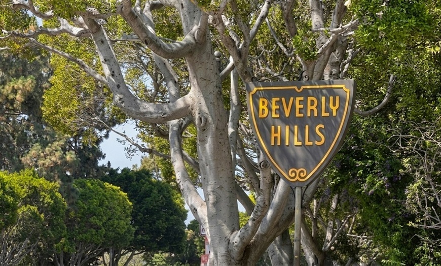 Image 5: Hollywood & Beverly Hills: Celebrity Homes & Iconic Landmarks Tour 