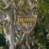 Image 5: Hollywood & Beverly Hills: Celebrity Homes & Iconic Landmarks Tour 