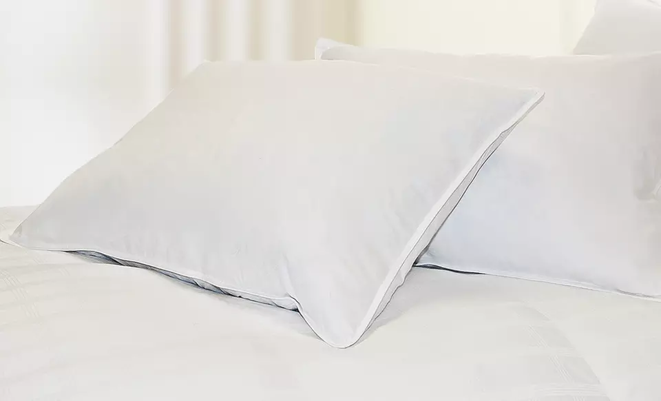 2 or 4 Hotel Peninsula All-Natural Pillows from $34.99–$59.99 - Primary Image