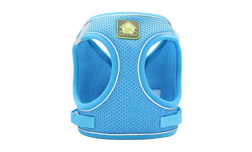 Image 6: Breathable Mesh Step-In Harness and Leash Set for Small Dogs
