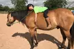 Up to 28% Off on Summer Camp at Sneak Away Riding Club - Second Medium