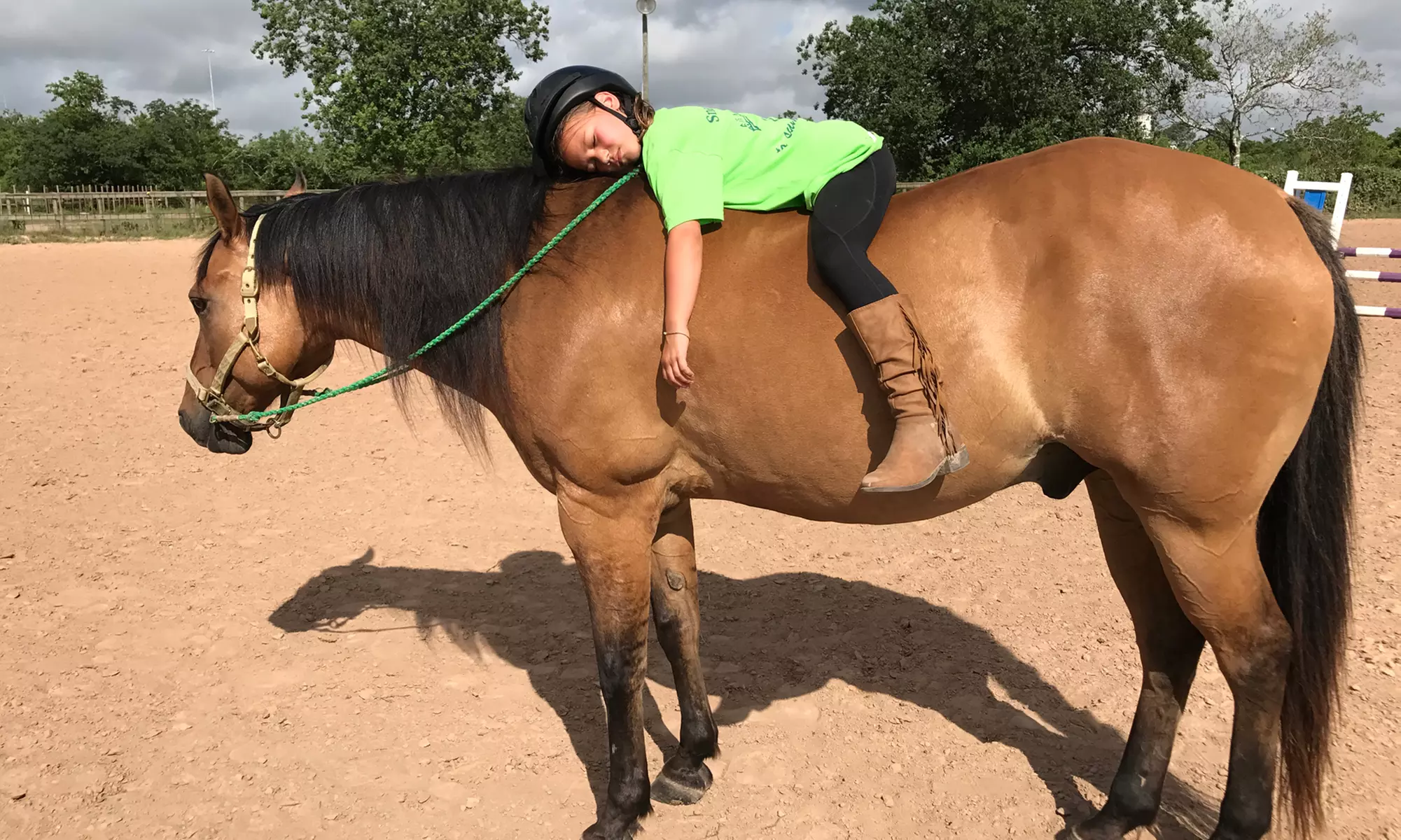 Dive Into Fun: Youth Summer Hearts and Hoofs Horse Camp Registration