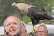 Roofvogelworkshop bij Settels Roofvogels in Bunschoten-Spakenburg - Second Medium