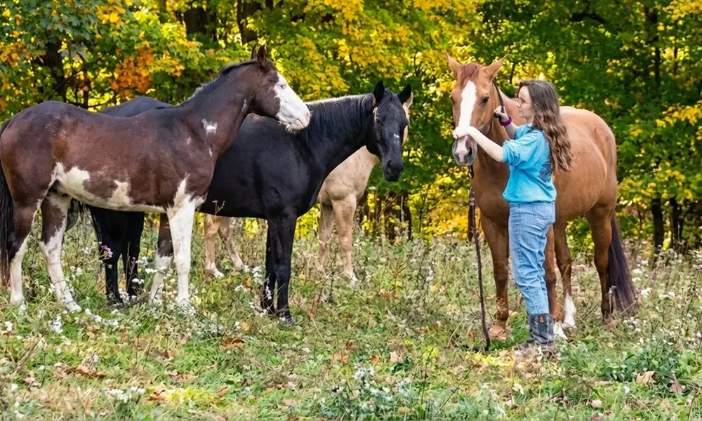 Horseback Riding Adventures on Scenic Trails