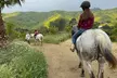 90-Minute Horseback Riding Drop-In Class or Week-Long Summer Camp with Riding Lessons (Up to 52% Off) - Second Medium