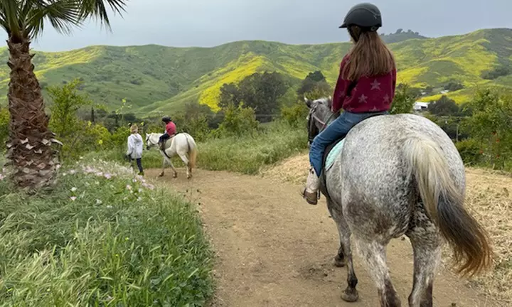 Horseback Riding Drop-In Class / Week-Long Summer Camp w/Riding Lesson