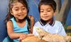 Garden State Discovery Museum Visit for Two or Four, or Museum Venue Rental in Cherry Hill (Up to 57% Off)