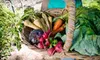 $40 for Two Weeks of Local-Produce Delivery from The Root ($80 Value)