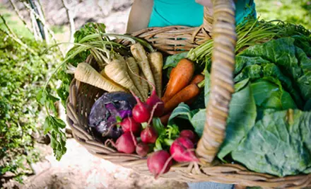 $40 for Two Weeks of Local-Produce Delivery from The Root ($80 Value) - Primary Image