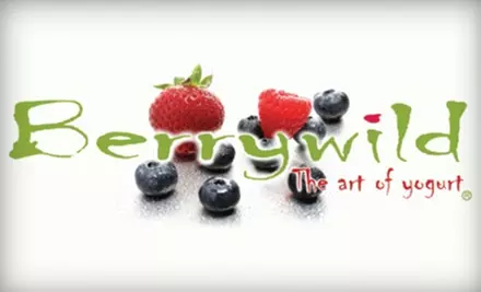 $6 for $12 Worth of Frozen Snacks at Berrywild  - Primary Image