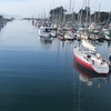Image 5: Discover Paddleboarding with a Guided SUP Lesson for 1, 2, or 4 People