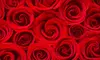 One Dozen Roses or Petite or Large Wedding Flower Packages from Botanic Florists in Brampton (Up to 63% Off)