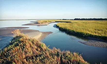 Dolphin Cruise at Sunset or Eco Tour of Capers Island for One or Two from Barrier Island Eco Tours (Up to 56% Off) - Primary Image