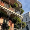 Image 2: Discover the Architectural Gems of New Orleans on a Guided Tour