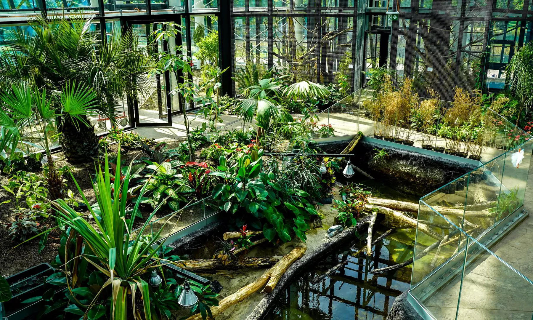 Zobacz z bliska egzotyczne rośliny i zwierzęta: bilety do Egzotarium