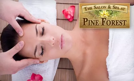 Spa Treatments at The Salon & Spa at Pine Forest. Choose From Two Options. - Primary Image