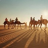 Image 2: Experience a Desert Safari Adventure with Basic or VIP Perks!