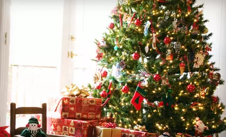 6–7-Foot-Tall or 7–8-Foot-Tall Noble Fir at Mac's Tree Shack in Temecula (Half Off) - Primary Image