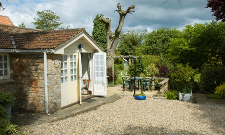 Potting Shed Holiday Cottages - Accommodation in Coxley 