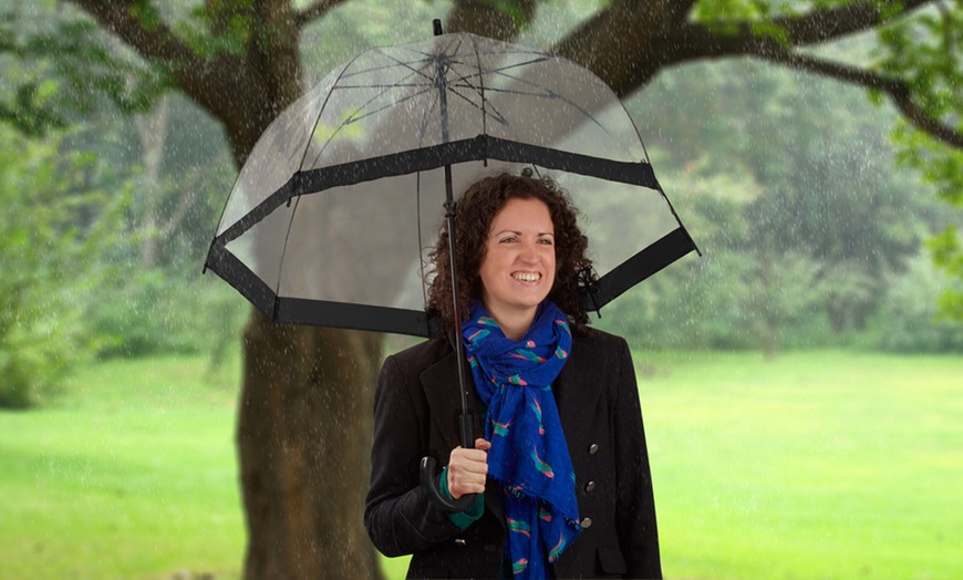 Image 3: Birdcage Umbrella